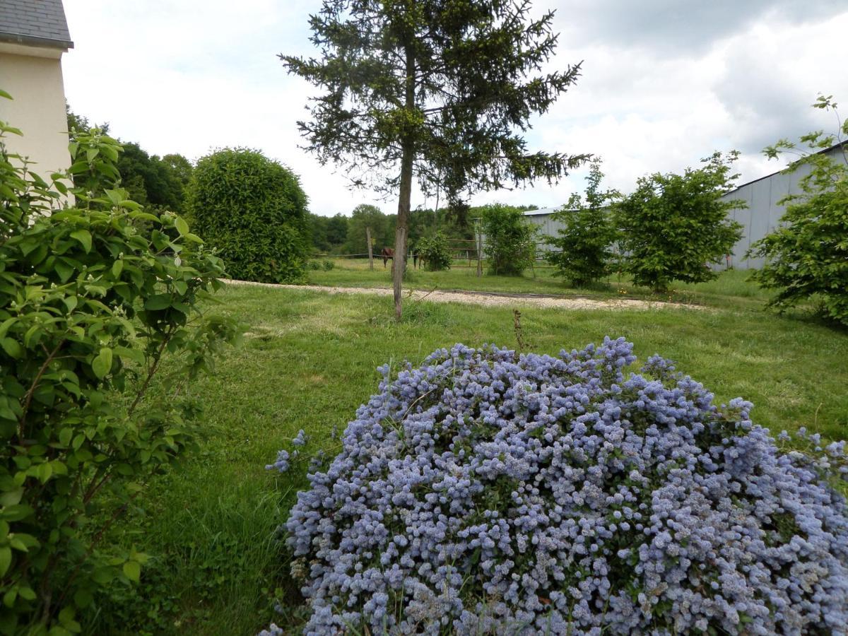 Bienvenue A L'Andruere Bed & Breakfast Cheille ภายนอก รูปภาพ